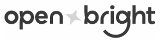 OPEN BRIGHT logo