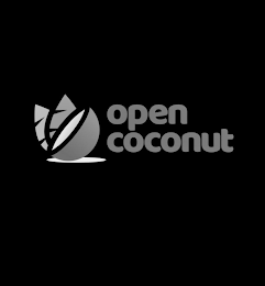 OPEN COCONUT logo