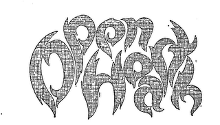 OPEN HEARTH logo