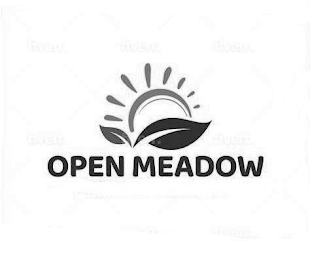 OPEN MEADOW logo