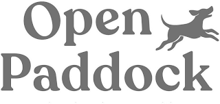 OPEN PADDOCK logo