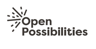 OPEN POSSIBILITIES logo