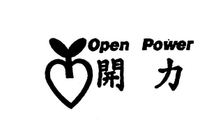 OPEN POWER logo