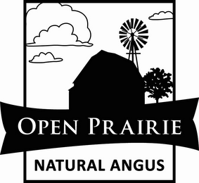 OPEN PRAIRIE NATURAL ANGUS logo