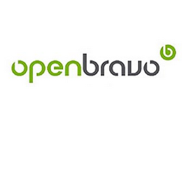 OPENBRAVO B logo