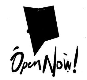 OPENNOW! logo