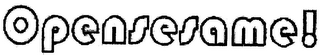 OPENSESAME! logo