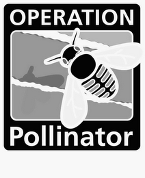 OPERATION POLLINATOR logo