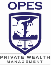 OPES PRIVATE WEALTH MANAGEMENT logo