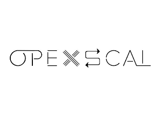 OPEXSCAL logo