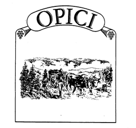 OPICI logo