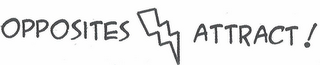 OPPOSITES ATTRACT! logo