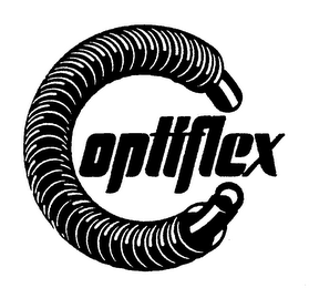 OPTIFLEX