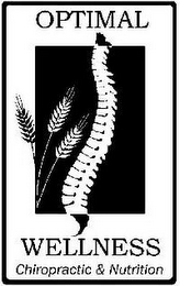 OPTIMAL WELLNESS CHIROPRACTIC & NUTRITION logo