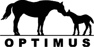 OPTIMUS logo