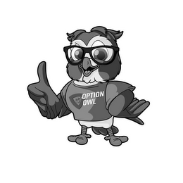 OPTION OWL logo