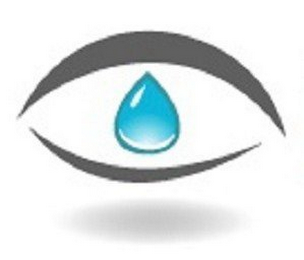 OPTOMETRIC EYESITE INC. logo