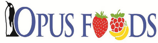 OPUS FOODS logo