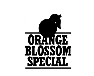 ORANGE BLOSSOM SPECIAL logo