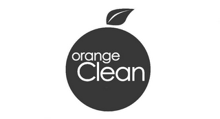 ORANGE CLEAN logo