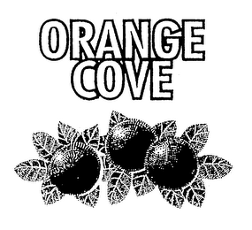 ORANGE COVE logo
