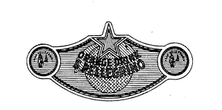 ORANGE DRINK S. PELLEGRINO SAN PELLEGRINO logo