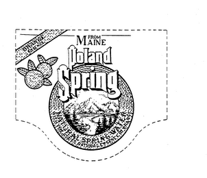 ORANGE ESSENCE FROM MAINE POLAND SPRING NATURAL SPRING WATER WITH THE ADDED NATURAL ESSENCE OF ORANGE logo