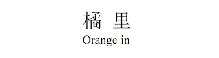 ORANGE IN logo