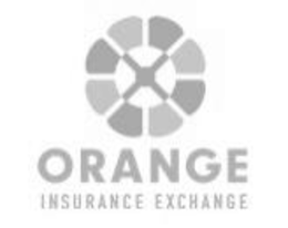 ORANGE INSURANCE EXCHANGE logo