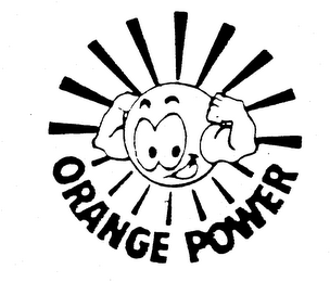 ORANGE POWER logo