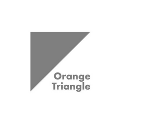 ORANGE TRIANGLE logo