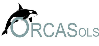 ORCASOLS logo