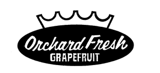 ORCHARD FRESH GRAPEFRUIT logo