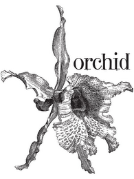 ORCHID logo