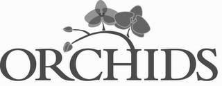 ORCHIDS logo