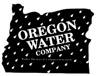 OREGON WATER COMPANY logo