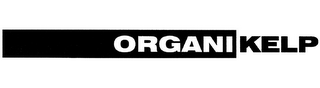 ORGANI KELP logo