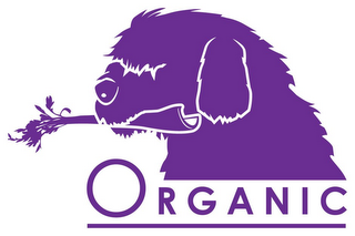 ORGANIC logo