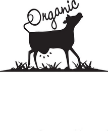 ORGANIC logo
