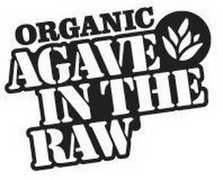 ORGANIC AGAVE IN THE RAW logo