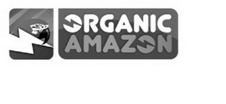 ORGANIC AMAZON logo
