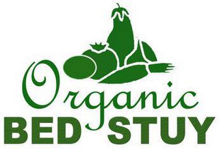 ORGANIC BED STUY logo