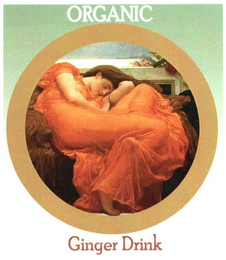 ORGANIC GINGER DRINK logo