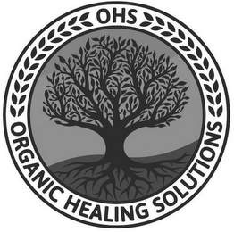 ORGANIC HEALING SOLUTIONS OHS logo