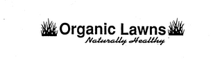 ORGANIC LAWNS NATURALLY HEALTHY logo