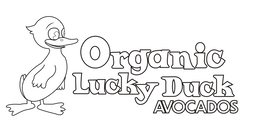 ORGANIC LUCKY DUCK AVOCADOS logo