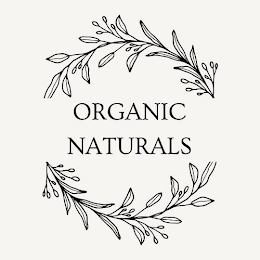 ORGANIC NATURALS logo