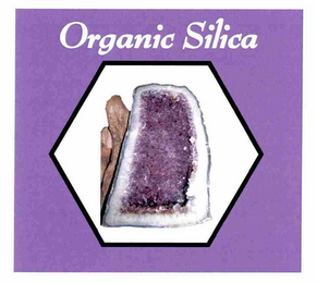 ORGANIC SILICA logo