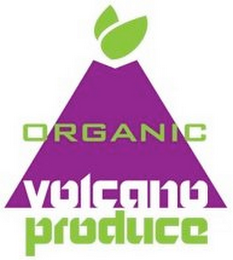 ORGANIC VOLCANO PRODUCE logo