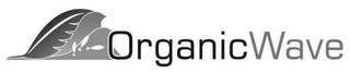 ORGANIC WAVE logo